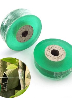 Fruit Tree  plant Secateurs Engraft Branch Gardening bind be