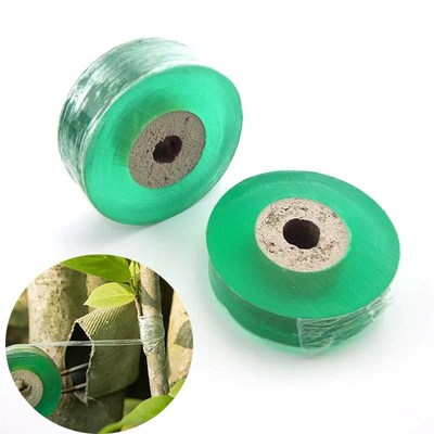 Fruit Tree  plant Secateurs Engraft Branch Gardening bind be