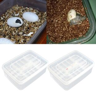Reptile Egg Tray Snake Lizard Egg Hatching Incubator Box Gec