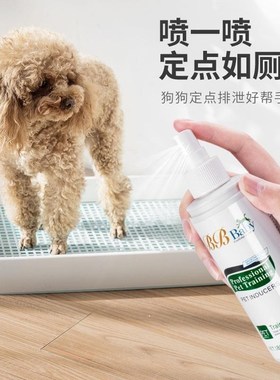 Dog toilet fixed point defecation inducer pet urine position