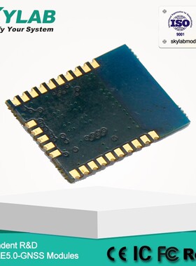 SKB369 nRF52832 BLE 5.0 Bluetooth low energy mesh Module