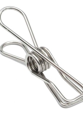 20 Pcs Metal Clothes Pegs Washing Line Hanger Paper Photos