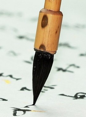 Chinese Calligraphy Hair Pen Weasel Hair Writing Brush Pen F