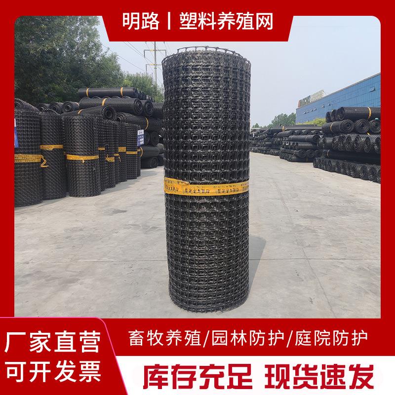 塑料养殖网大棚防水网圈玉米网鱼塘果园鸡鸭鹅围栏网双向土工格栅