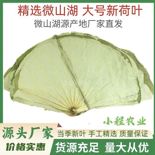 大号荷叶整张荷叶干荷叶荷叶饭糯米鸡荷叶鸡叫花鸡泡茶微山湖荷叶