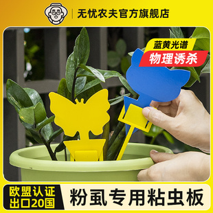 粉虱专用双面粘虫板黄蓝板双色板园艺防虫片双面小黑飞果蝇诱捕器