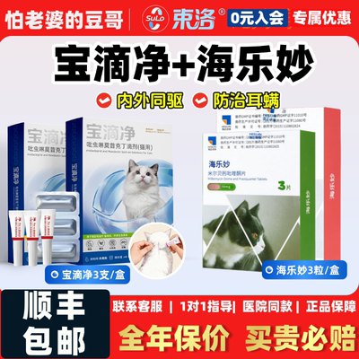 怕老婆的豆哥束洛宝滴净海乐妙