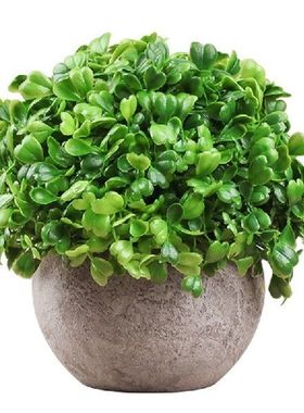 Faux Potted Plants Lifelike Artificial Plant Fake Greenery