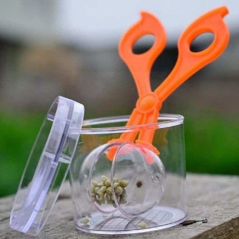 Insect Trap Handy Scoopers Bug Catcher Set Insects Outdoor