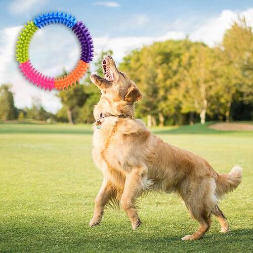 Pet Training Ring Colorful Dog Cat Molar Chew Teeth