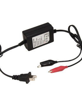 Generic Car Truck Motorcycle 12V Compact Battery Charger Ten