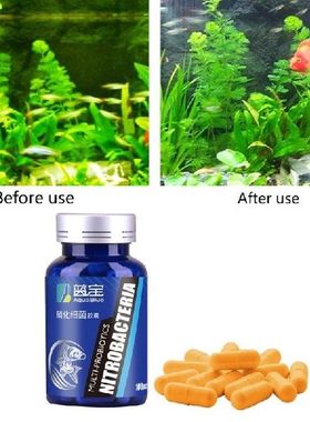 100Pcs/Bottle Aquarium Nitrifying Bacteria Concentrated
