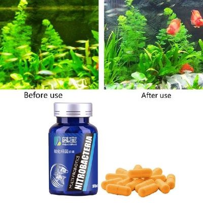 100Pcs/Bottle Aquarium Nitrifying Bacteria Concentrated