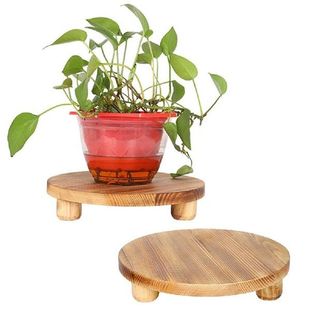 Plant Stand Soap Tray Display Farmhouse Garden Kitchen