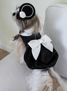 Dress-up Decorating Spring Summer Puppy Dresses Monkey