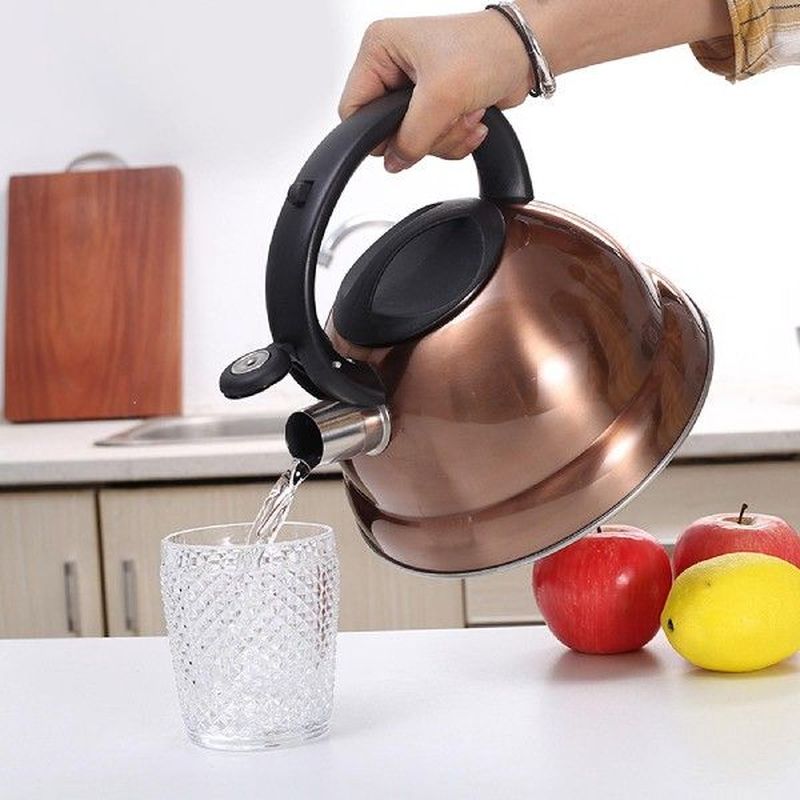 Portable Loud Whistling Pot 3L Large Capacity Sounding