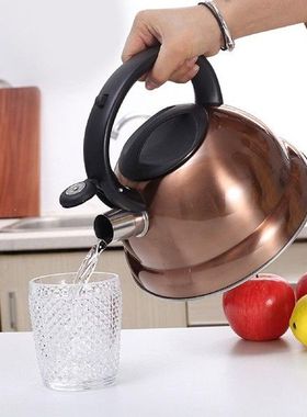 Portable Loud Whistling Pot 3L Large Capacity Sounding