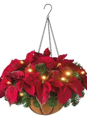 Party Christmas Hanging Basket Simulated Holiday Living