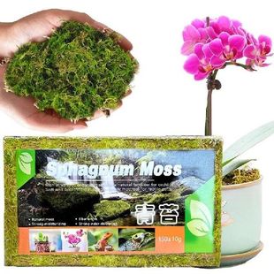 Sphagnum Moss for Plant 150g Natural Moss Potting Mix |