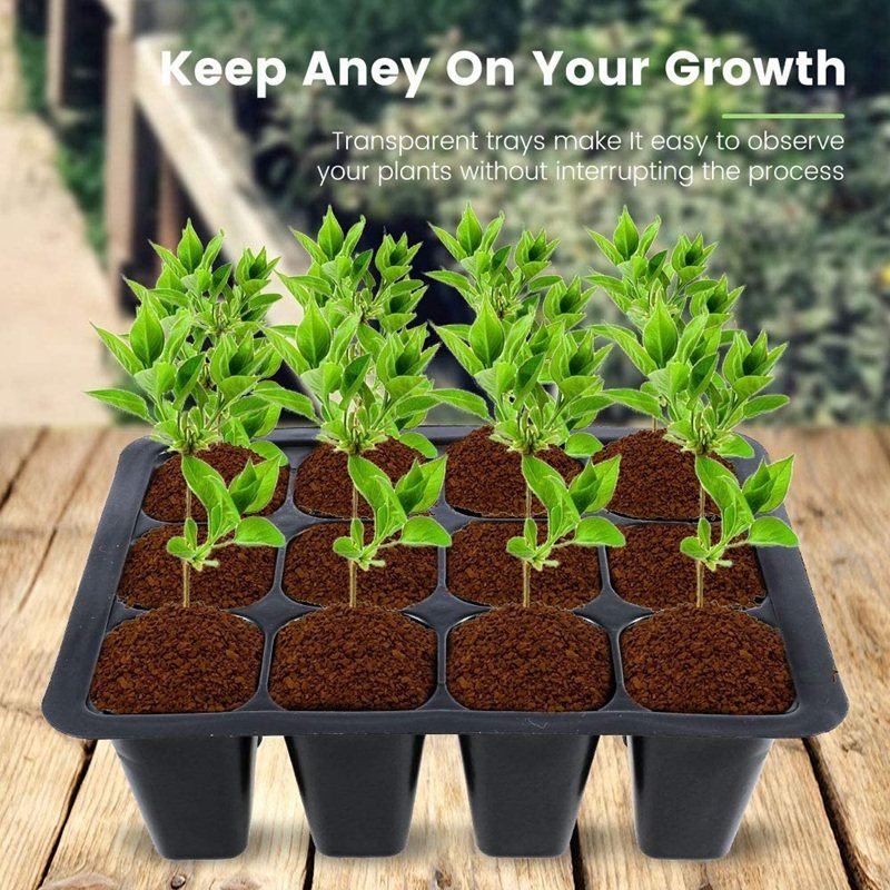 hot 8 pcs seed trays with lids 12 cells seed starter tray