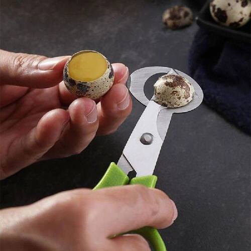 Pigeon Quail Egg Scissor Bird Cutter Opener Kitchen Tool