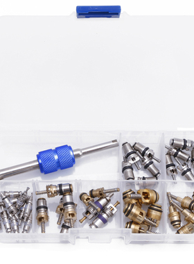 39Pcs R12 R134A Car Conditioning A/C Tire Valve Stem Core Re