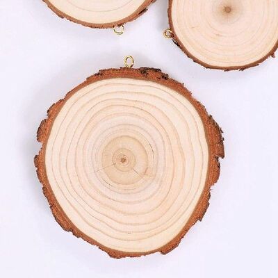 Natural Wood Slices Wooden Circles Craft Unfinished Wood