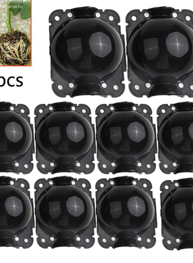 10pcs Plant Rooting Ball Grafting Rooting Growing Box Breedi