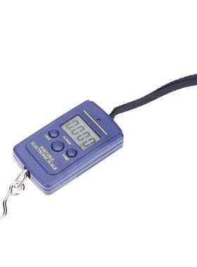 40kg x 10g Mini Scale for Fishing Luggage Travel Weighting S