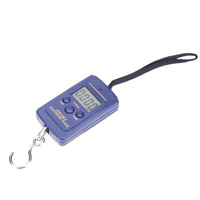 40kg x 10g Mini Scale for Fishing Luggage Travel Weighting S