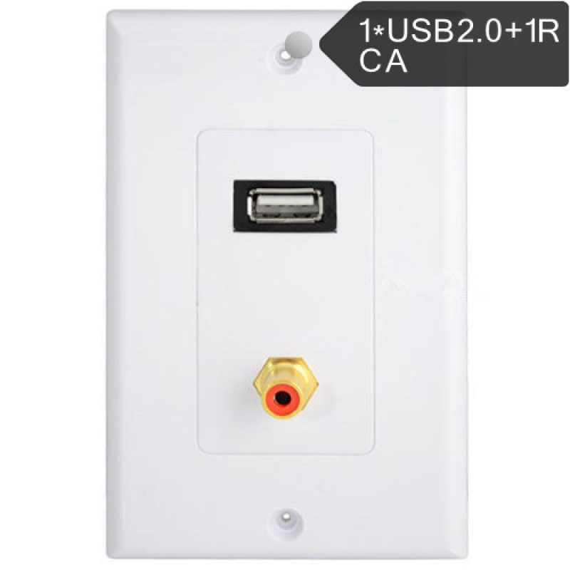 USB 2.0 Port & 1 RCA/PHONO Female Gold Wall Outlet Dual