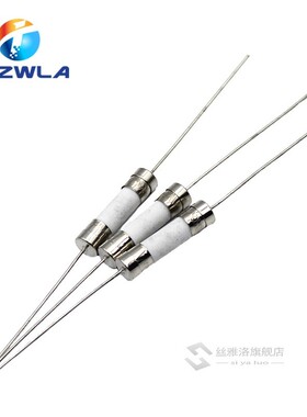 10PCS 5*20mm Ceramic fuse Slow Blow tube fuse With a pin 5x2