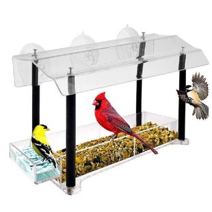 Acrylic Window Bird Feeder Large Size with Suction Cup Seed