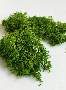 30G Lichen Moss cluster for bushes,model trees foliage scale