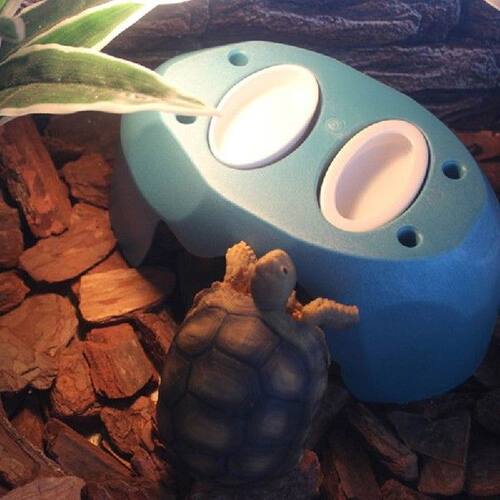 Reptile Hide Box Hideout Cave Humidifier Habitat Decoration