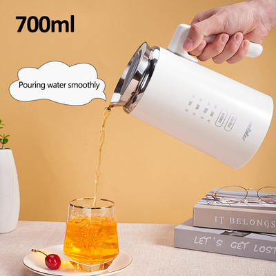 220V Electric Water Kettle Multifunction Portable Stainless