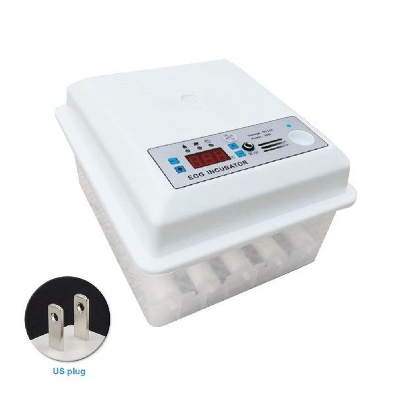 For Hatching Digital Display Multifunction Brooder Machine