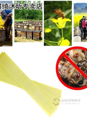 Professional Apiculture Acaricide Against The Bee Mite Strip