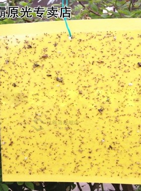 Convenient 20Pcs Dual-Sided Yellow Sticky Traps 适用于 Flyin
