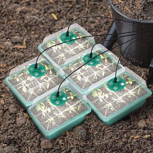 5pcs Seed Starter Trays with Light Greenhouse Indoor Plant