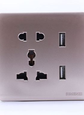 Wall Electrical 10A Plug Faceplate Socket Double 2 USB Outle