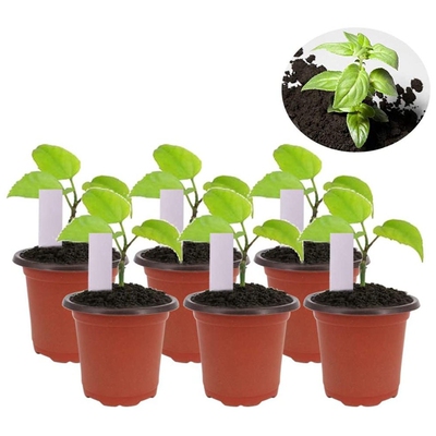 Hot 150Pcs Plastic Flower Seedlings Nursery Supplies