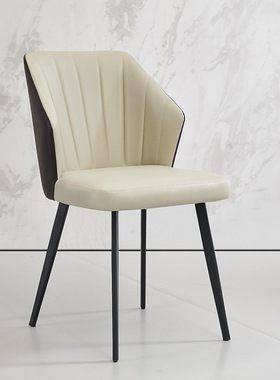 Modern Minimalist Dining Chair for the Kitchen Carbon Steel
