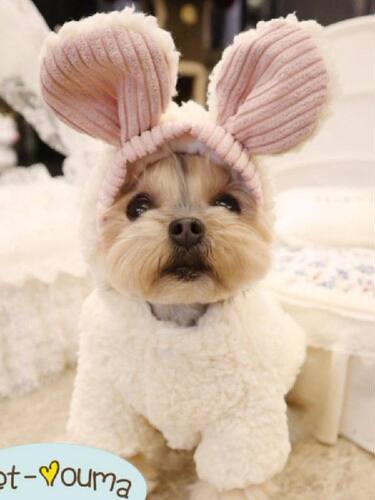 Winter Rabbit Ear Fleece Feet Dog Coats Jackets Dog Clothes