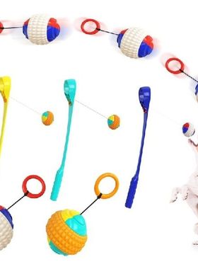 Dog toys Outdoor Training Ball Bouncy Toss Stick Ball Dog