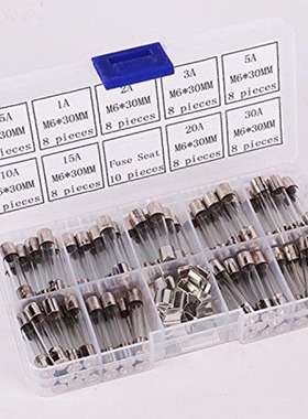 72pcs 6x30mm Fast Blow Glass Tube Fuse with Fuse Holder Asso