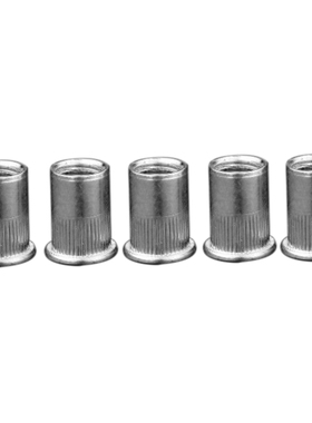 Insert 304 Flat Head Rivet Nut Threaded M12 Amount: 5pcs