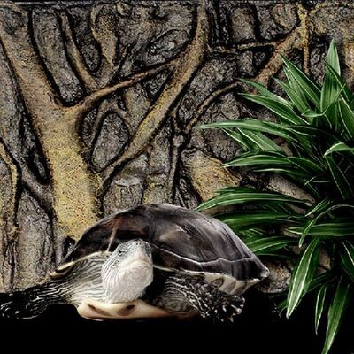3D Foam Rock Stone Aquarium Background Board Decor Foam