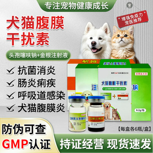 兽用犬猫腹膜注射用头孢噻呋钠0.2g*6瓶+金根注射液5ml*6瓶/盒
