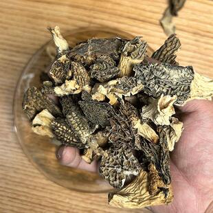 正宗羊菌干 干货25JGF0g云南肚特产羊肚菌碎破损蘑野生菌煲汤炖蛋